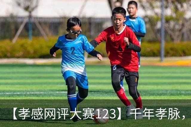 【孝感网评大赛123】千年孝脉，时代回响