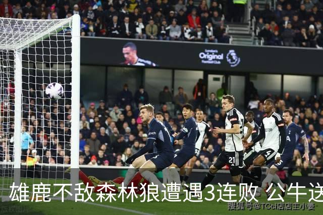 雄鹿不敌森林狼遭遇3连败 公牛送灰熊7连败